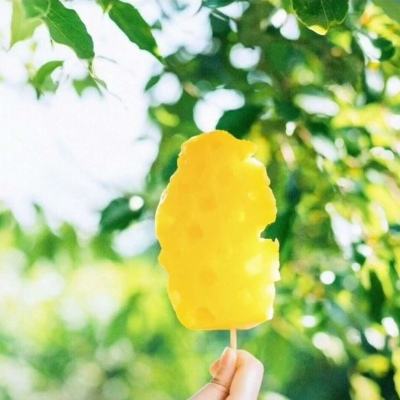 胖猫咪最新版下载